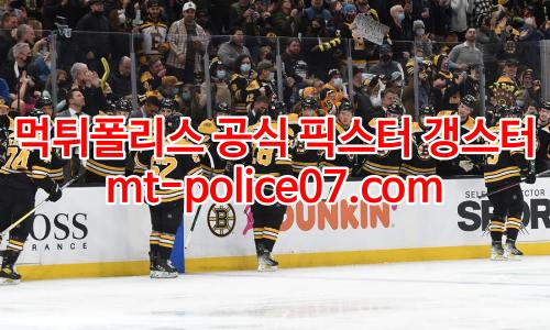 보스턴 브루인스 7