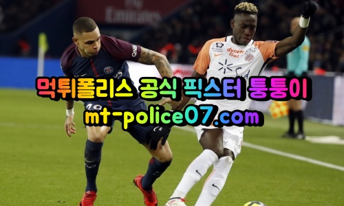 m몽펠리에