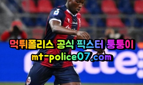 m볼로냐 1