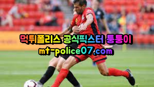 m애들레이드