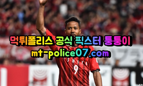 m삿포로