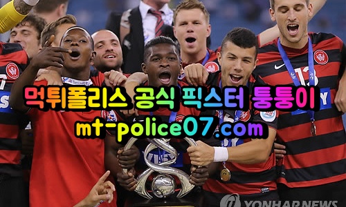 m웨스턴시드니