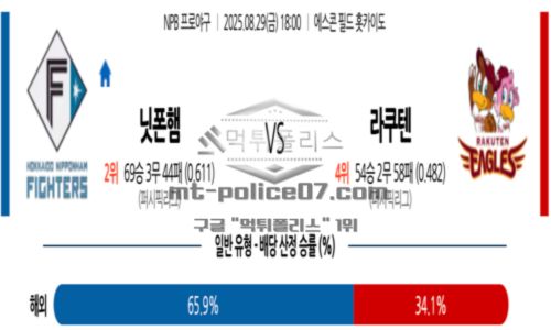 일본야구