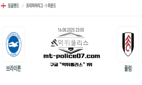 잉글랜드 프리미어리그