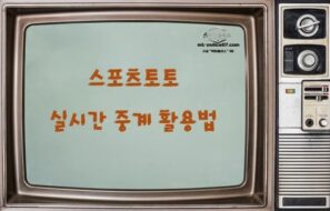 스포츠토토 실시간 중계 활용법｜라이브 배팅 승률 높이는 전략