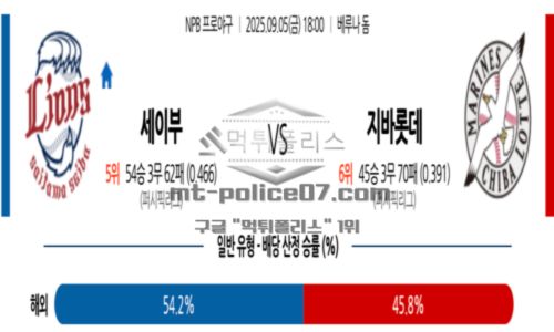 일본야구
