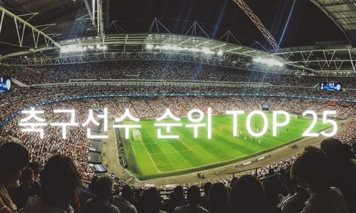 축구선수 순위