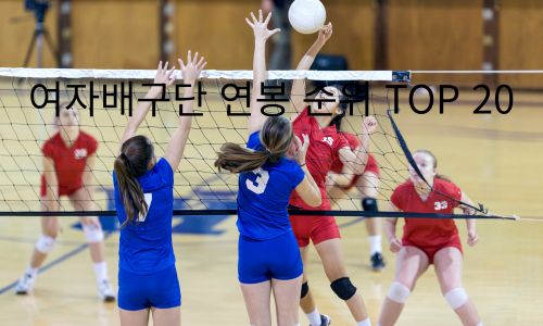 여자배구단 연봉 순위 1
