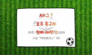 호주 A리그(A-League)란? – 아시아 축구의 숨은 강자<span class="rmp-archive-results-widget "><i class=" rmp-icon rmp-icon--ratings rmp-icon--star rmp-icon--full-highlight"></i><i class=" rmp-icon rmp-icon--ratings rmp-icon--star rmp-icon--full-highlight"></i><i class=" rmp-icon rmp-icon--ratings rmp-icon--star rmp-icon--full-highlight"></i><i class=" rmp-icon rmp-icon--ratings rmp-icon--star rmp-icon--full-highlight"></i><i class=" rmp-icon rmp-icon--ratings rmp-icon--star "></i> <span>4 (1)</span></span>