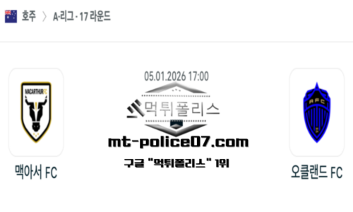 호주 A리그