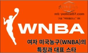 여자 미국농구(WNBA)의 특징과 대표 스타<span class="rmp-archive-results-widget "><i class=" rmp-icon rmp-icon--ratings rmp-icon--star rmp-icon--full-highlight"></i><i class=" rmp-icon rmp-icon--ratings rmp-icon--star rmp-icon--full-highlight"></i><i class=" rmp-icon rmp-icon--ratings rmp-icon--star rmp-icon--full-highlight"></i><i class=" rmp-icon rmp-icon--ratings rmp-icon--star rmp-icon--full-highlight"></i><i class=" rmp-icon rmp-icon--ratings rmp-icon--star rmp-icon--half-highlight js-rmp-remove-half-star"></i> <span>4.3 (45)</span></span>