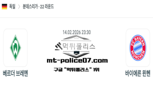 독일 분데스리가