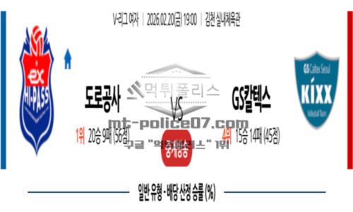 프로배구