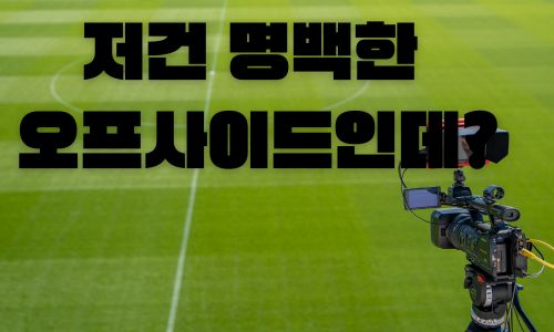 비디오 판독