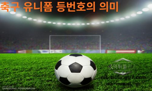 축구 유니폼 뒷번호의 의미 1