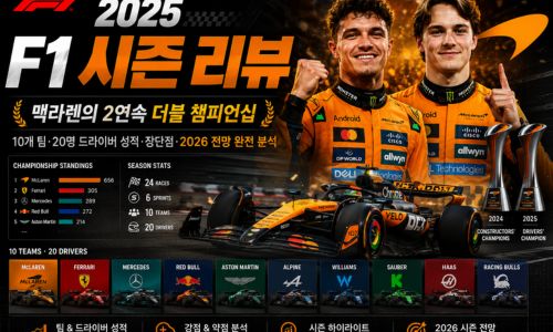 2025 F1시즌 리뷰