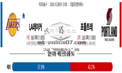 미프로농구